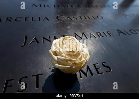 Eine weiße Rose auf die Einfassung des World Trade Center Infinity-pool, New York, NY, USA Stockfoto