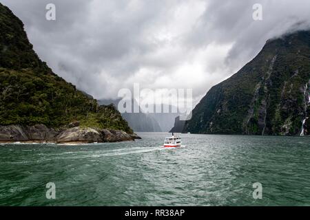 Kreuzfahrt im Milford Sound, Neuseeland Stockfoto