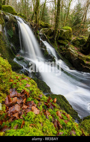 Wasserfälle auf der Lowran Brennen, in der Nähe von Loch Ken, Dumfries and Galloway, Schottland Stockfoto