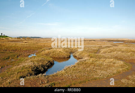 Ein Blick über die Salzwiesen in North Norfolk an Thornham, Norfolk, England, Vereinigtes Königreich, Europa. Stockfoto