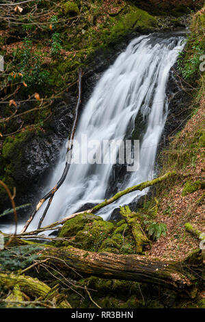 Hells Loch Wasserfall, Bucks Linn, in der Nähe der Glenlee, Dumfries and Galloway, Schottland Stockfoto