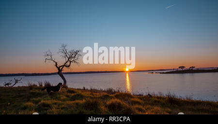 See Sonnenuntergang Landschaft von der Alqueva Stausee in Portugal Alentejo Natur Landschaft Stockfoto