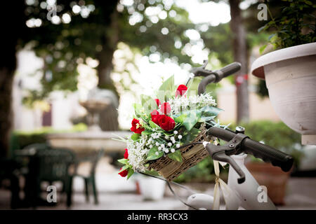 Strauß roter Rosen und weißen Blumen im Korb auf dem Fahrrad vintage romantische Classic Garden, selektiver Fokus Stockfoto