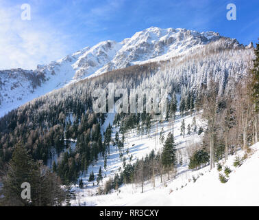 Puchberg am Schneeberg Schneeberg: Mountain north face in Wiener Alpen, Alpen, Niederösterreich, Lower Austria, Austria Stockfoto