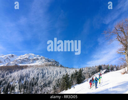 Puchberg am Schneeberg Schneeberg: Mountain North Face, Ski Tour Tourer, Berghütte Edelweißhütte in Wiener Alpen, Alpen, Niederösterreich, untere Aus Stockfoto