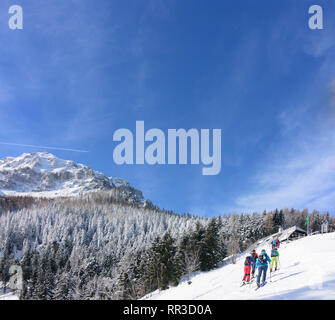 Puchberg am Schneeberg Schneeberg: Mountain North Face, Ski Tour Tourer, Berghütte Edelweißhütte in Wiener Alpen, Alpen, Niederösterreich, untere Aus Stockfoto