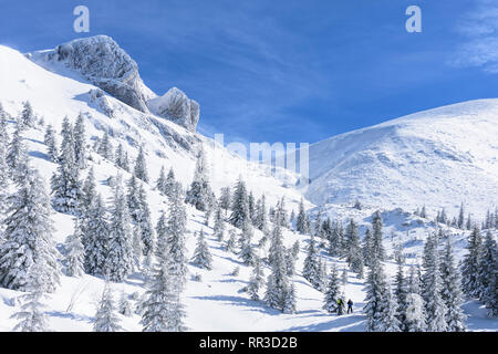 Puchberg am Schneeberg: Mountain Schneeberg west Gesicht, rift Wurzengraben, Ski Tour Tourer, schneebedeckte Fichten, Nadelbaum in Wiener Alpen, Alpen, Niederö Stockfoto