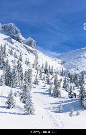Puchberg am Schneeberg: Mountain Schneeberg west Gesicht, rift Wurzengraben, Ski Tour Tourer, schneebedeckte Fichten, Nadelbaum in Wiener Alpen, Alpen, Niederö Stockfoto