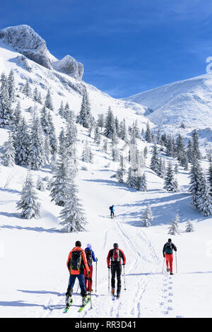 Puchberg am Schneeberg: Mountain Schneeberg west Gesicht, rift Wurzengraben, Ski Tour Tourer, schneebedeckte Fichten, Nadelbaum in Wiener Alpen, Alpen, Niederö Stockfoto