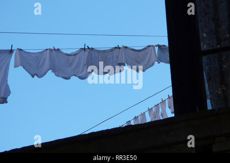 Pula pola Kolosseum Architektur Details mit Bogenfenstern Sommer Stockfoto
