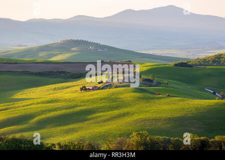 Sonnenbeschienenen Feld in der Dämmerung mit einem Bauernhof in der Toskana, Italien Stockfoto