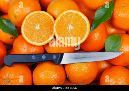 Viele organische Orangen mit einem Schnitt in der Mitte auf der Oberseite der Blätter und ein Messer. Stockfoto