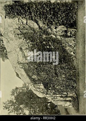 . Acta horti bergiani: Meddelanden från Kongl. Svenska Vetenskaps-Akademiens Bergielund Trädgård. Botanik. . Bitte beachten Sie, dass diese Bilder sind von der gescannten Seite Bilder, die digital für die Lesbarkeit verbessert haben mögen - Färbung und Aussehen dieser Abbildungen können nicht perfekt dem Original ähneln. extrahiert. Bergianska stiftelsen; Kungl. Svenska vetenskapsakademien. Bergielund Trädgård. Stockholm: Bergianska Stiftelsen Stockfoto