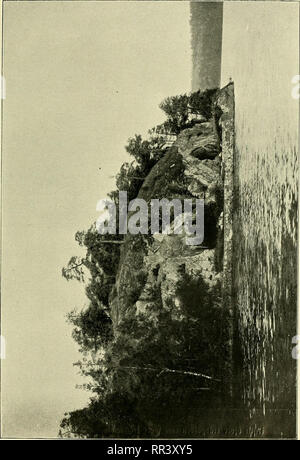 . Acta horti bergiani: Meddelanden från Kongl. Svenska Vetenskaps-Akademiens Bergielund Trädgård. Botanik. . Bitte beachten Sie, dass diese Bilder sind von der gescannten Seite Bilder, die digital für die Lesbarkeit verbessert haben mögen - Färbung und Aussehen dieser Abbildungen können nicht perfekt dem Original ähneln. extrahiert. Bergianska stiftelsen; Kungl. Svenska vetenskapsakademien. Bergielund Trädgård. Stockholm: Bergianska Stiftelsen Stockfoto