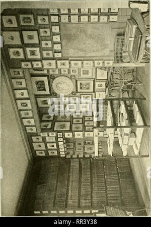 . Acta horti bergiani: Meddelanden från Kongl. Svenska Vetenskaps-Akademiens Bergielund Trädgård. Botanik. . Bitte beachten Sie, dass diese Bilder sind von der gescannten Seite Bilder, die digital für die Lesbarkeit verbessert haben mögen - Färbung und Aussehen dieser Abbildungen können nicht perfekt dem Original ähneln. extrahiert. Bergianska stiftelsen; Kungl. Svenska vetenskapsakademien. Bergielund Trädgård. Stockholm: Bergianska Stiftelsen Stockfoto