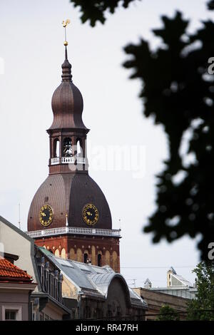 Rigaer Dom durch Bäume Stockfoto