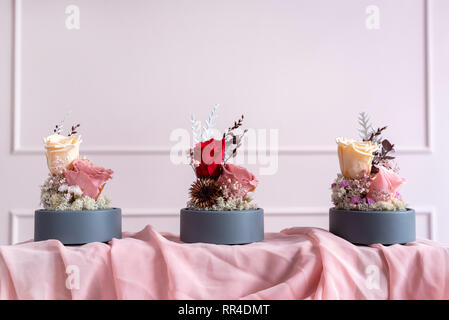 Langlebige Rosen in einer Glaskuppel. Stockfoto