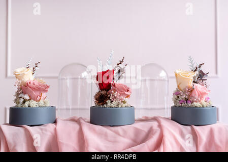 Langlebige Rosen in einer Glaskuppel. Stockfoto