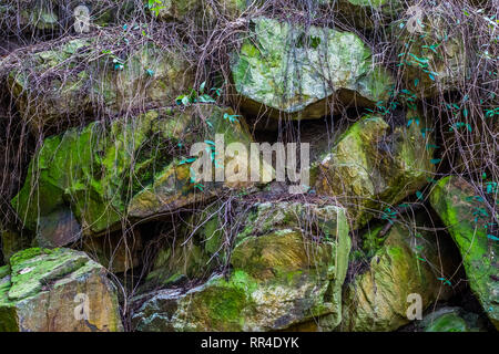 Schöne Muster der grosse Felsen in grün Moos und Pflanzen bedeckt, natürlichen Hintergrund Stockfoto