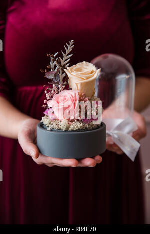 Womans Hände halten lang anhaltende Rosen in einer Glaskuppel. Stockfoto