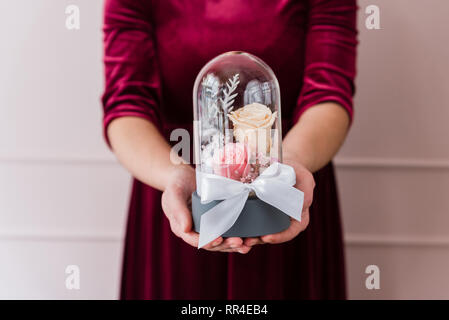 Womans Hände halten lang anhaltende Rosen in einer Glaskuppel. Stockfoto