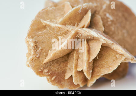 Makro Farbe Foto eines Desert Rose auf einem weißen Oberfläche Stockfoto