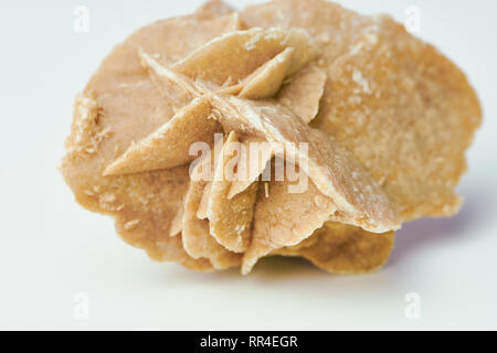 Makro Farbe Foto eines Desert Rose auf einem weißen Oberfläche Stockfoto