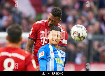 München, Deutschland. 23. Februar, 2019. Jerome BOATENG (FCB 17) konkurrieren um die Kugel, Bekämpfung, Duell, Kopfzeile, Action, Kampf gegen Davie SELKE, Hertha 27 FC BAYERN MÜNCHEN - Hertha BSC Berlin - DFL-Bestimmungen verbieten die Verwendung von Fotografien als BILDSEQUENZEN und/oder quasi-VIDEO - 1. Deutsche Fussball Liga, München, Februar 09, 2019 Saison 2018/2019, Spieltag 24, FCB, München, © Peter Schatz/Alamy leben Nachrichten Stockfoto