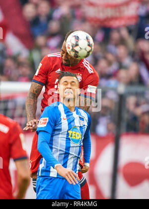 München, Deutschland. 23. Februar, 2019. Jerome BOATENG (FCB 17) konkurrieren um die Kugel, Bekämpfung, Duell, Kopfzeile, Action, Kampf gegen Davie SELKE, Hertha 27 FC BAYERN MÜNCHEN - Hertha BSC Berlin - DFL-Bestimmungen verbieten die Verwendung von Fotografien als BILDSEQUENZEN und/oder quasi-VIDEO - 1. Deutsche Fussball Liga, München, 23. Februar 2019 Saison 2018/2019, Spieltag 24, FCB, München, © Peter Schatz/Alamy leben Nachrichten Stockfoto