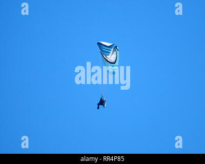 Sheerness, Kent, Großbritannien. 24. Februar, 2019. UK Wetter: Ein heller, sonniger Tag in Sheerness, Kent. Ein para Glider steigt gegen einen strahlend blauen Himmel. Credit: James Bell/Alamy leben Nachrichten Stockfoto