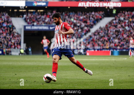 Wanda Metropolitano, Madrid, Spanien. 24 Feb, 2019. Liga Fußball, Atletico Madrid gegen Villareal; Diego Costa (Atletico de Madrid) in Aktion: Aktion plus Sport/Alamy leben Nachrichten Stockfoto