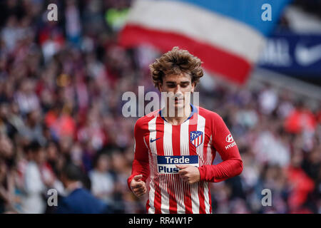 Wanda Metropolitano, Madrid, Spanien. 24 Feb, 2019. Liga Fußball, Atletico Madrid gegen Villareal; Antonie Griezmann (Atletico de Madrid) Credit: Aktion plus Sport/Alamy leben Nachrichten Stockfoto