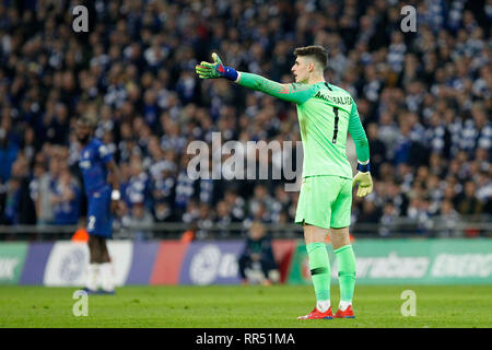 London, Großbritannien. 24 Feb, 2019. Während der EFL Carabao Pokalspiel zwischen Chelsea und Manchester City im Wembley Stadion, London, England am 24. Februar 2019. Foto von Carlton Myrie. Nur die redaktionelle Nutzung, eine Lizenz für die gewerbliche Nutzung erforderlich. Keine Verwendung in Wetten, Spiele oder einer einzelnen Verein/Liga/player Publikationen. Credit: UK Sport Pics Ltd/Alamy leben Nachrichten Stockfoto