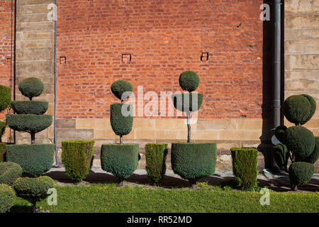 Topiary Garten, abgeschnittene Hecken an der Kirche der heiligen Petrus und Paulus in Krakau, Polen Stockfoto