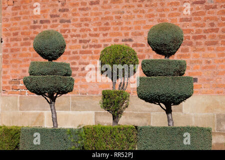 Garten Formgehölze, abgeschnittene Hecken an der Kirche der heiligen Petrus und Paulus in Krakau, Polen Stockfoto