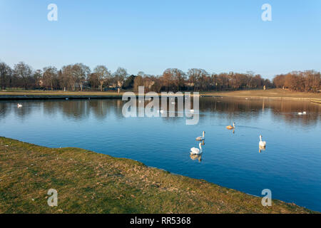 See im Chateau de Chantilly, Oise, Frankreich Stockfoto