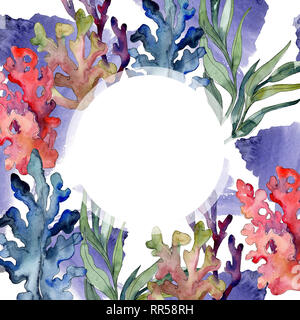 Rot und Blau aquatische Unterwasser natur Korallenriff. Aquarell Hintergrund gesetzt. Rahmenlinie ornament Quadrat. Stockfoto