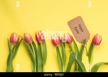 Feder Konzept. Tulpen mit gelbem Hintergrund, Text frohe Ostern, April Ostern Konzept Stockfoto