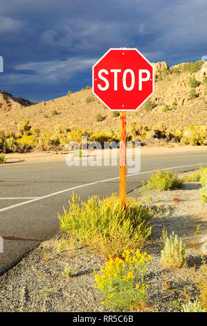 Verbotszeichen stop traffic sign bei bewölktem Himmel. Nevada Zustand. USA. Stockfoto