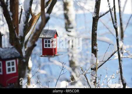 Bird Feeder in Form eines Hauses hängt auf einem Zweig im Winter Stockfoto