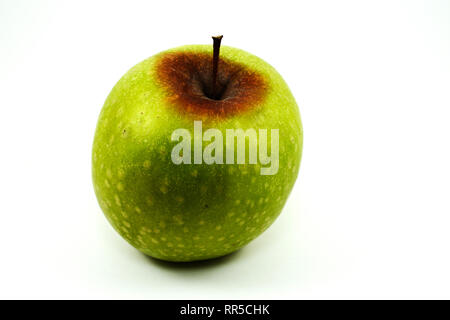 Green Apple mit faulen auf weißem Hintergrund Stockfoto