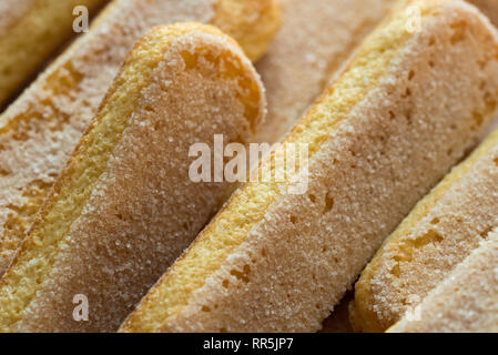 Italienische savoiardi Kekse finger Kekse für Tiramisu Makro Stockfoto