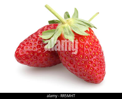 Ganz, frisch Erdbeeren auf weißem Hintergrund Stockfoto