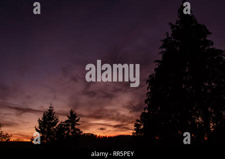 Baum Silhouette mit schönen Sonnenuntergang im Hintergrund. Österreich Stockfoto