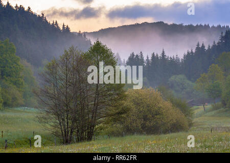 Am frühen Morgen Sonnenaufgang auf deutsche Landschaft in der Eifel Stockfoto