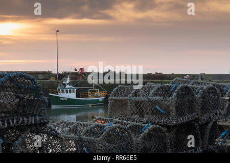 Hummerfallen Linie am Kai & Hafen Wand und ein Fischerboot auf dem Festmachen im Dorf an der Küste von Gourdon in Nordostschottland Stockfoto