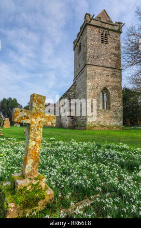 Tarrant Crawford, St. Maria, der Jungfrau, Dorset, England, Großbritannien Stockfoto