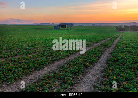 Sixpenny Handley, Dorset, England, Großbritannien Stockfoto