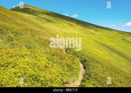 Wunderbare sonnige Landschaft in den Bergen. Wiese Bergwiese mit Fuß Weg bergauf Wicklung. blauer Himmel mit Fluffy Clouds. schöne Landschaft der Karpaten Stockfoto