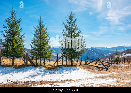 Sonnige Frühling Wetter in Berg. schöne Landschaft der Karpaten. Bäume in der Nähe der Holzzaun Fichte auf der Wiese mit Schnee auf Wea Stockfoto